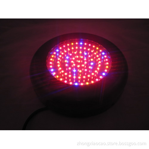 Super grow led light Sun's full spectrum led grow lighting